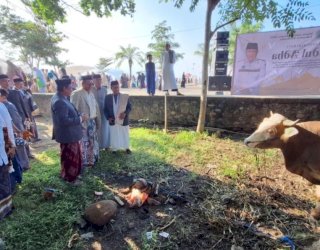Bupati Bulukumba Terima 14 Sapi Kurban dari KMB