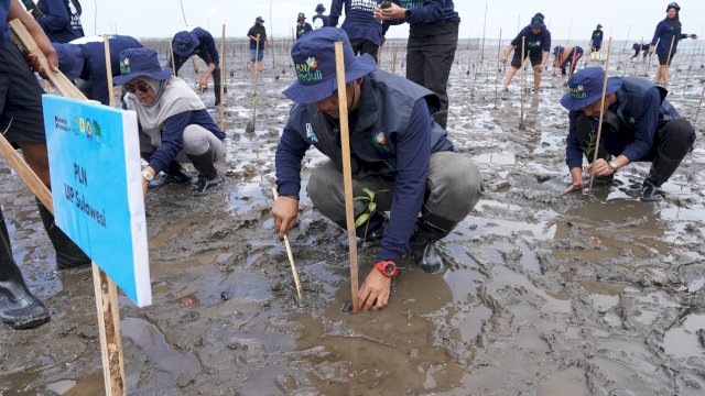 PLN UIP Sulawesi melakukan penanaman Mangrove di kawasan pesisir pantai Kelurahan Tonrokassi Timur, Kecamatan Tamalatea, Kabupaten Jeneponto, kemarin. (Dok. Humas PLN UIP Sulawesi) 