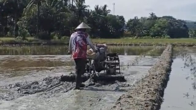 Bantuan mesin traktor dari PLN memberikan dampak signifikan terhadap peningkatan produksi bagi Kelompok Tani Mekongga di Kabupaten Kolaka, Sulawesi Tenggara. (Dok. Humas PLN UIP Sulawesi) 
