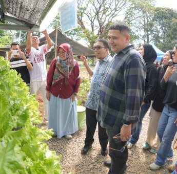 Pemkot Makassar Genjot Urban Farming, Kini 458 Kelompok Tani Aktif Bergerak