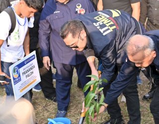 Rangkaian Rakernas, Pengurus DPP NasDem Gelar Penanaman Pohon di Gowa