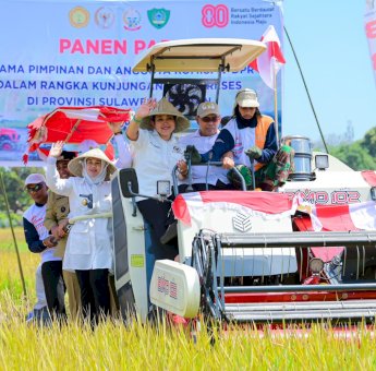 Fatmawati Rusdi: Sulsel Catat Surplus Beras 1,21 Juta Ton Tahun Ini