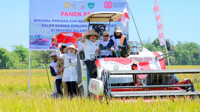 Wakil Gubernur Sulsel, Fatmawati Rusdi saat mendampingi rombongan Komisi IV DPR RI dalam kunjungan kerja dan panen raya di Kelurahan Raya, Kabupaten Maros, Selasa (12/8/2025). (Foto: Istimewa)