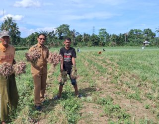 Program TJSL PLN di Desa Lampoko Barru Tingkatkan Produksi Petani