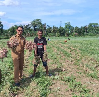 Program TJSL PLN di Desa Lampoko Barru Tingkatkan Produksi Petani