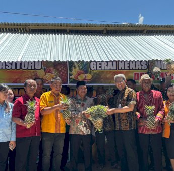 OJK Sulselbar Bekali Edukasi Keuangan ke Petani Budidaya Nenas di Mamasa