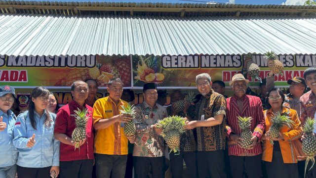 OJK Sulselbar saat memberikan edukasi keuangan kepada petani budidaya nenas di Desa Mesakada, Kecamatan Tanduk Kalua, Kabupaten Mamasa, Sulawesi Barat, pada Kamis, 25 September 2025 kemarin. (Dok. OJK Sulselbar) 