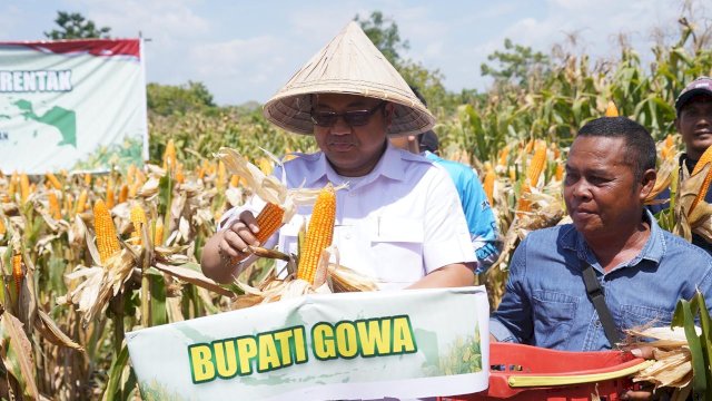 Wakil Bupati Gowa Darmawangsyah Muin, di sela-sela Panen Raya Jagung Serentak Kuartal III Tahun 2025, di Desa Pabentengang, Kecamatan Bajeng, kemarin. (Dok. Humas Gowa) 