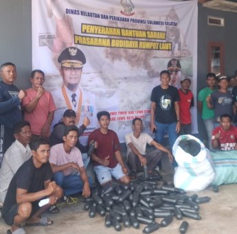 Pemprov Sulsel Dorong Ekonomi Biru Lewat Bantuan Bibit Rumput Laut di Luwu Raya