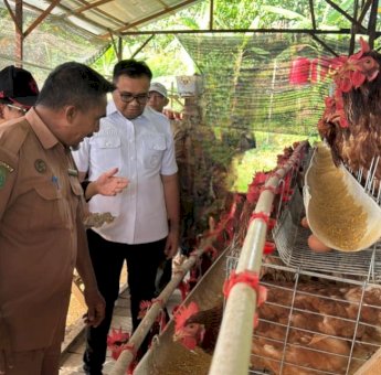 Desa Loa Duri Ilir Raih Juara 3 Nasional, Inovasi Jadi Kunci Ketahanan Pangan
