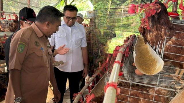 Peternakan Ayam Petelur Omega Desa Loa Duri Ilir.
