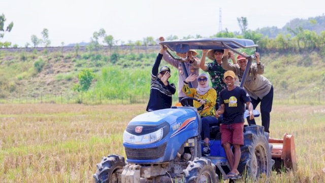 Ket: Bupati Barru, Andi Ina Kartika Sari turut menggarap sawah pakai mobil traktor John Deere tipe TR 4 di Dem farm Area Kelompok Tani Mega Buana, Desa Lipukasi, Kecamatan Tanete Rilau., Kamis (21/8/2025).