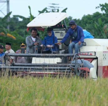 Produksi Padi Meningkat 7,8 Ton, Gowa Siap Jadi Lumbung Pangan Mandiri di Sulsel