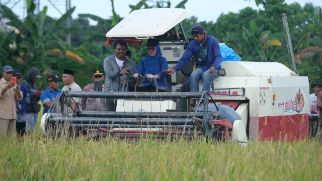 Bupati Gowa, Sitti Husniah Talenrang, di sela-sela Panen Raya Padi, di Desa Romanglasa, Kecamatan Bontonompo, Jumat (28/11/2025). (Dok. Humas Gowa) 
