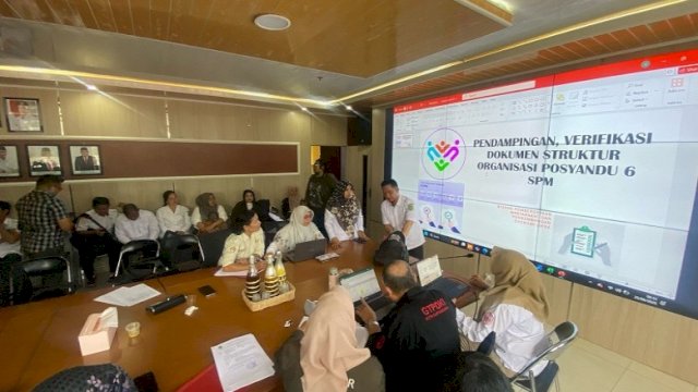 Pendampingan verifikasi dokumen struktur organisasi Posyandu 6 SPM. [Ist]
