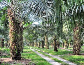 BUMDes Kahala Ilir Perkuat Layanan Logistik dan Kebutuhan Dasar Warga