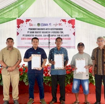 OJK Sulselbar, Pemkab Lutim dan PUJK Tingkatkan Akses Keuangan Petani Kakao