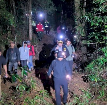 DM dan Tim Gabungan Temukan Puluhan Hektare Hutan Lindung di Tombolo Pao Dirambah