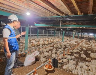 Mudahkan Masyarakat dan UMKM, PLN Pastikan Triwulan I 2026 Tarif Listrik Tak Naik