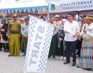 Perkuat Posisi Sidrap sebagai Penopang Pangan Nasional, 15 Truk Telur Dikirim ke Berbagai Daerah