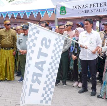 Perkuat Posisi Sidrap sebagai Penopang Pangan Nasional, 15 Truk Telur Dikirim ke Berbagai Daerah