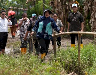 Pemkot Makassar Gelontorkan Rp4 Miliar, Akses Berlumpur di Romang Tangayya Segera Dibeton