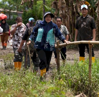 Pemkot Makassar Gelontorkan Rp4 Miliar, Akses Berlumpur di Romang Tangayya Segera Dibeton