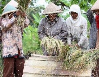 Pertanian Hingga Konstruksi Bertahan Topang Pertumbuhan Ekonomi Sulsel