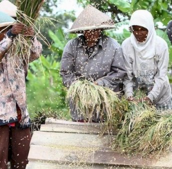 Pertanian Hingga Konstruksi Bertahan Topang Pertumbuhan Ekonomi Sulsel