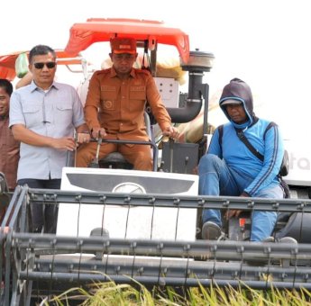 Panen di Wala, Bupati Sidrap Semangati Petani Kejar Target 10 Ton