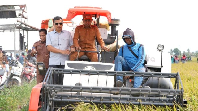 Bupati Sidrap, Syaharuddin Alrif saat memimpin panen raya padi di Kelurahan Wala, Kecamatan Maritengngae, Sidrap, Senin (16/3/2026). (Foto: Humas Pemkab Sidrap)