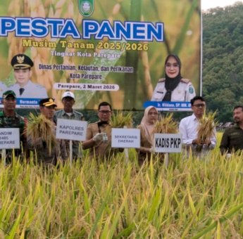 Pemkot Parepare Komitmen Perkuat Sektor Pertanian, Pesta Panen 2025/2026 Berlangsung Meriah