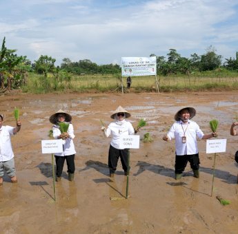 Program Cetak Sawah Rakyat Ditarget Penuhi Swasembada Pangan
