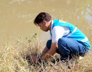 Dari 400 Pohon, PLN UIP Sulawesi Perkuat Mitigasi Banjir Berbasis Lingkungan di Kelurahan Katimbang