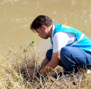Dari 400 Pohon, PLN UIP Sulawesi Perkuat Mitigasi Banjir Berbasis Lingkungan di Kelurahan Katimbang