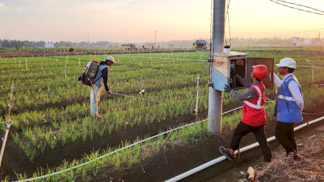 Petugas PLN saat melakukan pengecekan SPLU yang dimanfaatkan untuk program Electrifying Agriculture bagi produktivitas petani bawang di Kabupaten Bone. (Foto: Istimewa)
