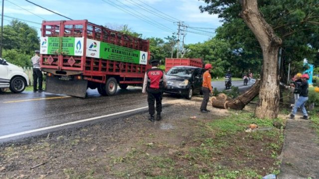 Sat Samapta dan Satlantas Polres Bulukumba Bersihkan Pohon Tumbang di Jalan Poros. [IST]