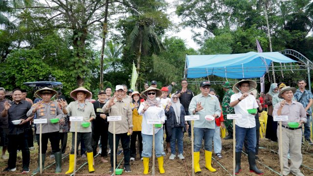 Ket: Penanaman Bersama dan Penangkaran Bibit Jagung JJ UH 01 di Desa Galung