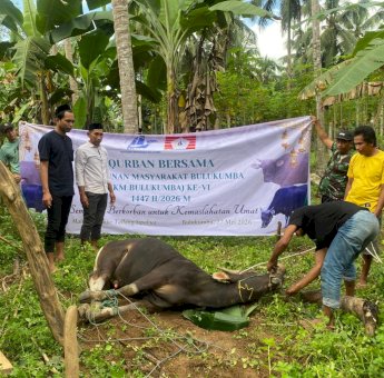 Kurban Bersama KM Bulukumba ke-VI, Salurkan 13 Sapi untuk Warga