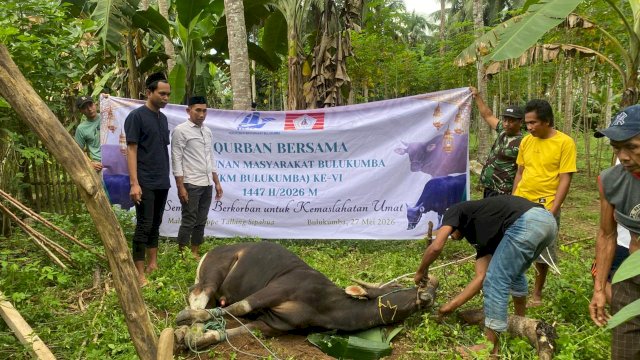 KM Bulukumba kembali melaksanakan kurban dengan menyembelih 13 ekor untuk warga di Kabupaten Bulukumba, Rabu, (27/05/2026). (Dok. Istimewa)