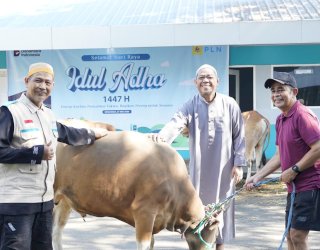 Rayakan Iduladha, PLN UIP Sulawesi Kurban 13 Ekor untuk TAD dan Warga Sekitar