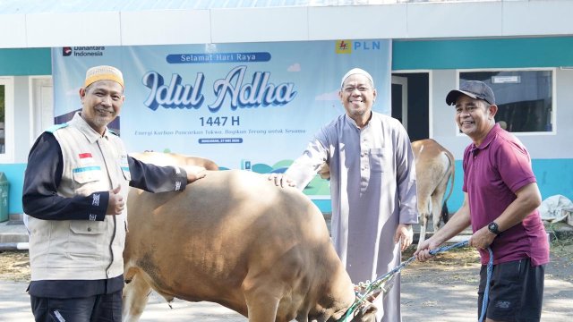 Manajemen PLN UIP Sulawesi berkurban 13 ekor dalam perayaan Iduladha tahun ini. Proses kurban dan pendistribusian daging kurban dilakukan di Kantor PLN UIP Sulawesi. (Dok. Humas PLN UIP Sulawesi)