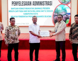 Prioritas Warga yang Membutuhkan, Presiden Prabowo Salurkan 25 Ekor Sapi Kurban untuk Sulsel