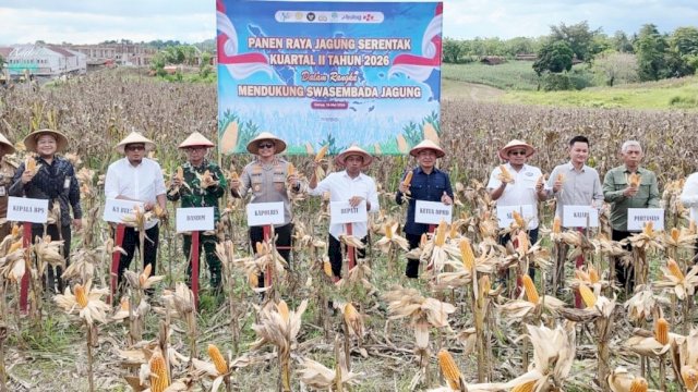 Bupati Sidrap, Syaharuddin Alrif dalam kegiatan panen raya jagung serentak kuartal II secara daring bersama Presiden Republik Indonesia, Prabowo Subianto, Sabtu (16/5/2026). (Foto: Humas Pemkab Sidrap)