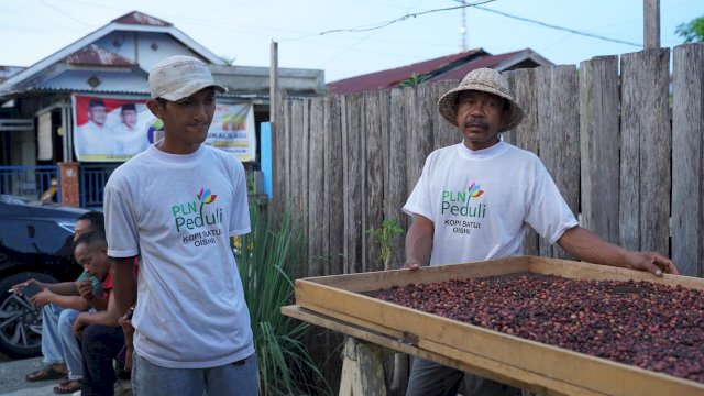 Di Desa Nonong, Kecamatan Batui, Kabupaten Banggai, Provinsi Sulawesi Tengah, Ketua Kelompok Petani Kopi Batui Bapak Fadly (kiri) memulai usahanya di 2010 dengan sebuah keyakinan sederhana bahwa tanah Batui menyimpan potensi yang belum terjamah. (Dok. Humas PLN UIP Sulawesi) 