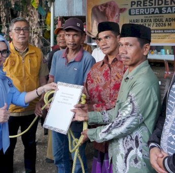 Bupati Barru Serahkan Sapi Kurban Presiden di Desa Nepo, Bobotnya Capai 908 Kilogram