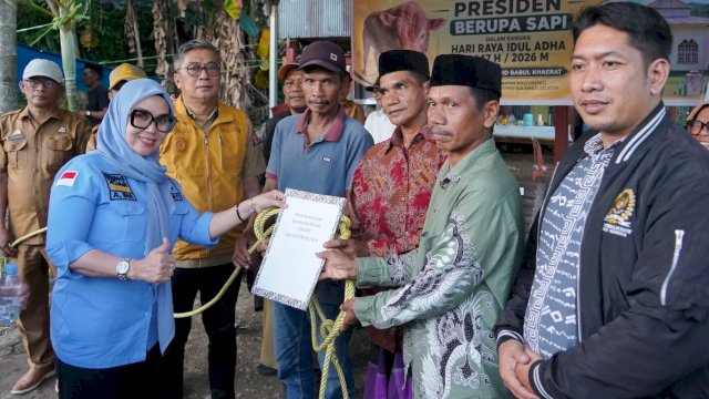 Ket: Penyerahan Sapi Kurban Presiden