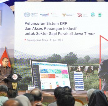 OJK dan ILO Siapkan Akses Pembiayaan Khusus Bagi Peternak Sapi Perah