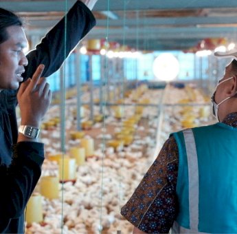 PLN UID Sulselrabar Perkuat Ketahanan Pangan dan Modernisasi Agrikultur melalui Program Electrifying Agriculture