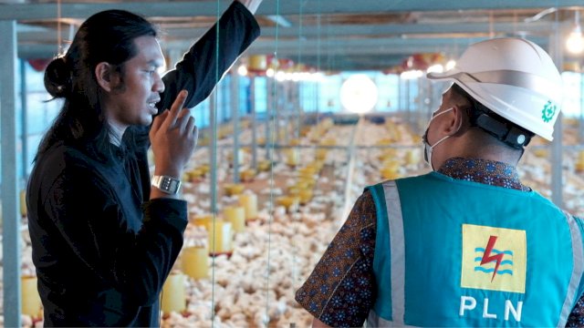 Ilustrasi petugas PLN meninjau pemanfaatan listrik pada peternakan ayam petelur modern di Kabupaten Sidenreng Rappang sebagai bagian dari Program Electrifying Agriculture yang mendukung modernisasi sektor agrikultur. (Foto: Istimewa)